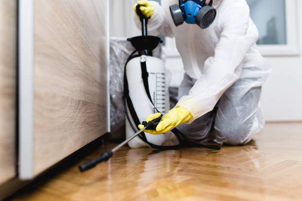 Best Affordable Pest Control Services  in Oak Hill, OH