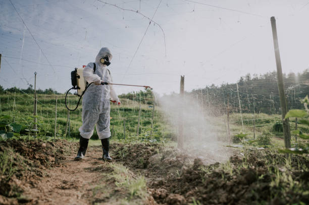 Best Ant Control Services  in Oak Hill, OH