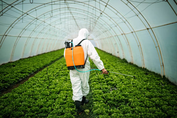 Best Pest Control for Businesses  in Oak Hill, OH
