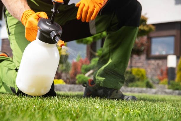 Best Commercial Pest Control Services  in Oak Hill, OH