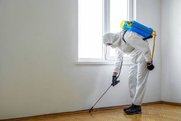 Best Wasp Removal Services  in Oak Hill, OH