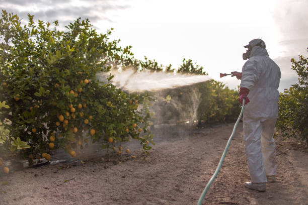 Best Pest Control Near Me  in Oak Hill, OH