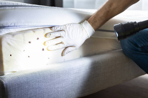 Best Wildlife Control Services  in Oak Hill, OH