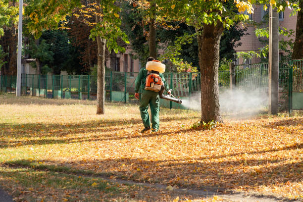 Best Pest Removal Services  in Oak Hill, OH