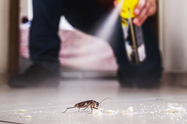 Best Pest Control Near Me in Oak Hill, OH