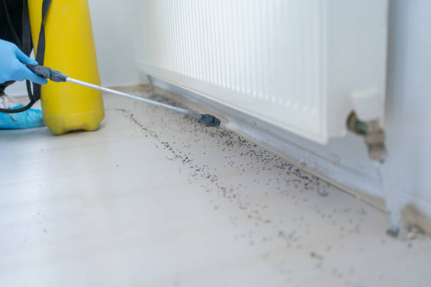 Best Residential Pest Control  in Oak Hill, OH