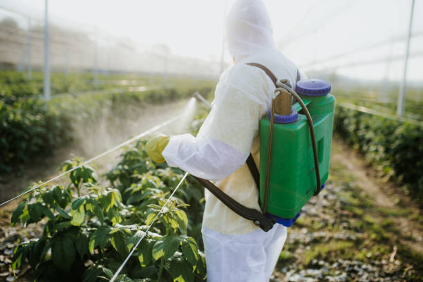 Best Pest Inspection Near Me  in Oak Hill, OH